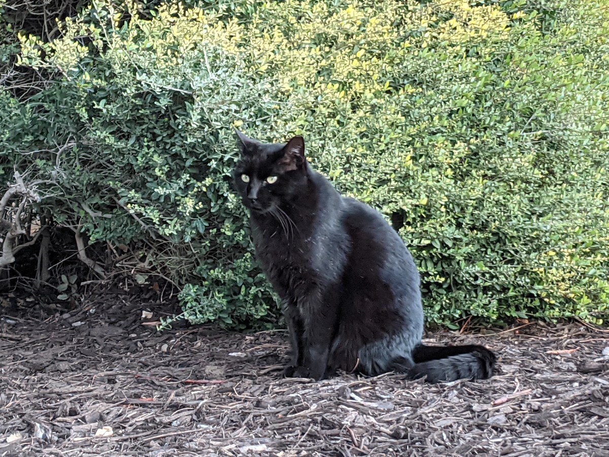 Lucifer, January 3, 2021