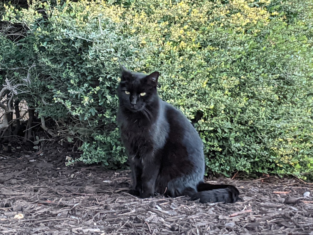 Lucifer, January 3, 2021