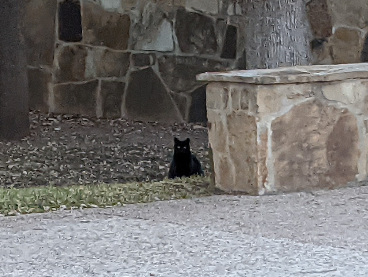 Midnight, January 3, 2021