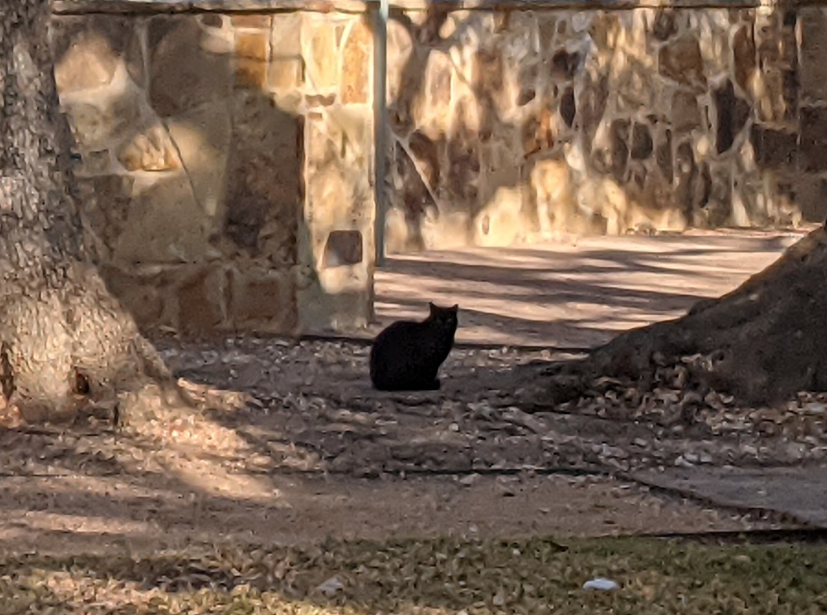 Midnight, January 9, 2021