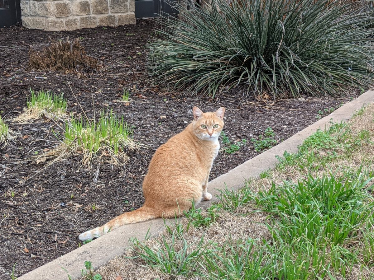 Rusty, February 28,2021