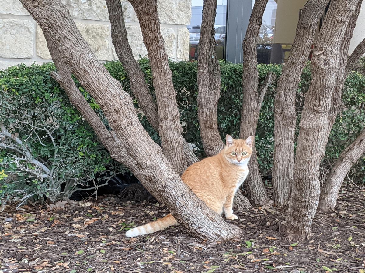 Rusty, February 28,2021