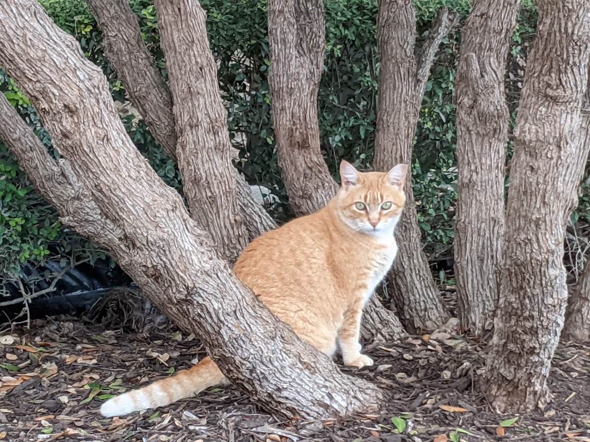 Rusty, February 28,2021