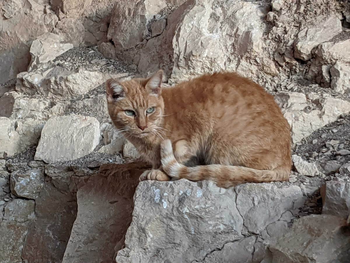 Sonny, February 21, 2021