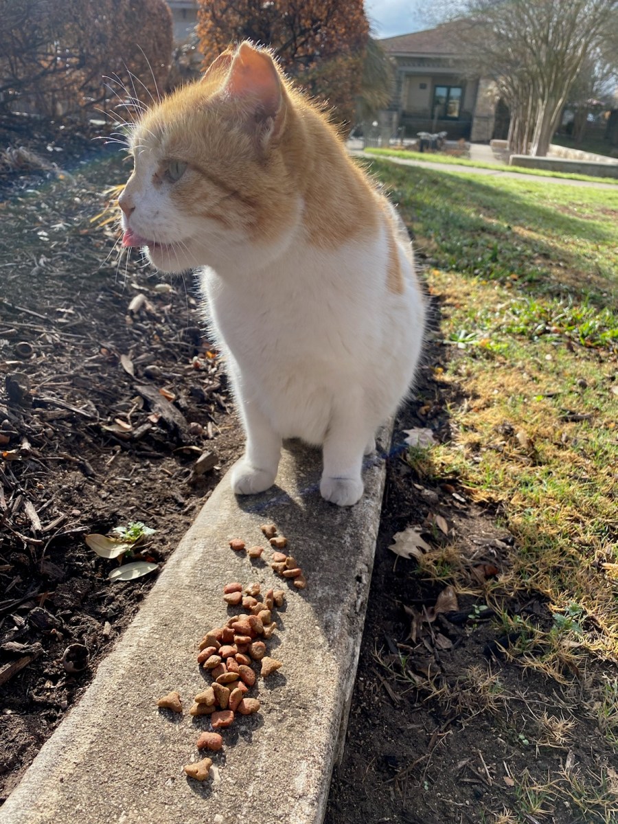 Harry, March 3, 2021