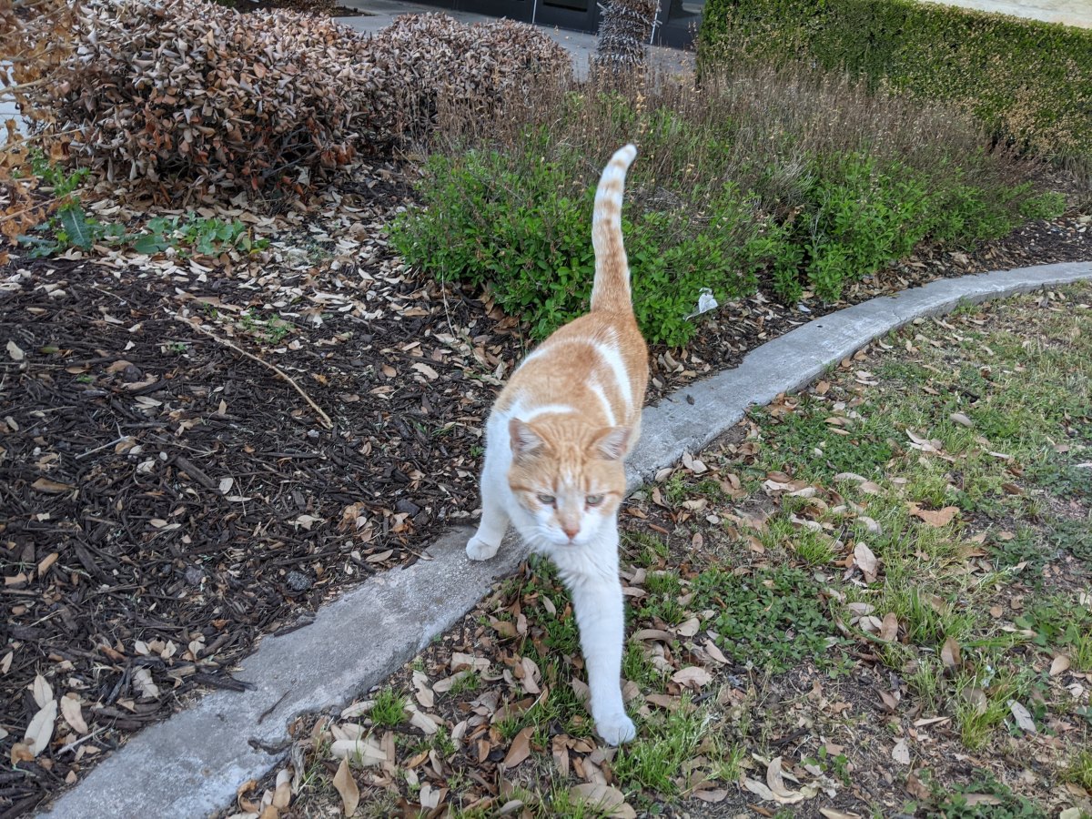 Harry, March 21, 2021