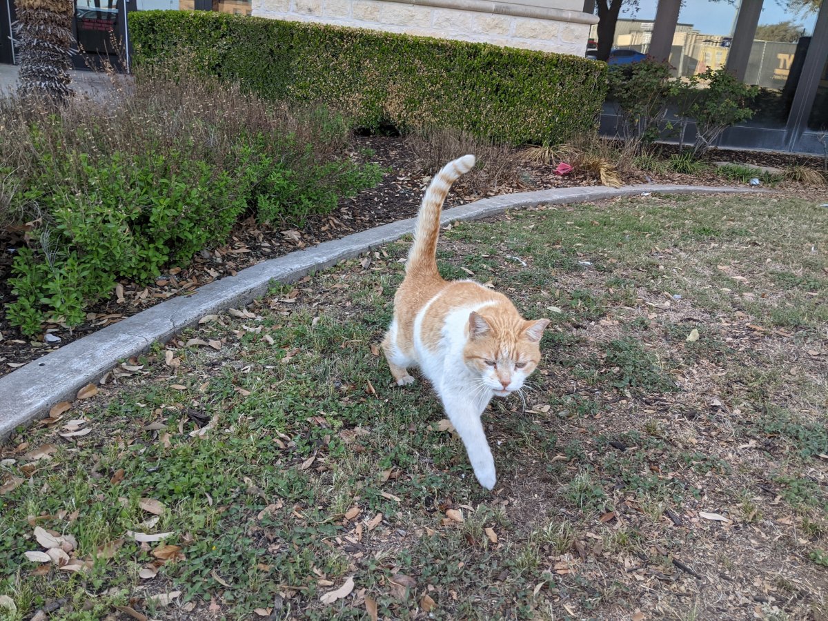 Harry, March 21, 2021