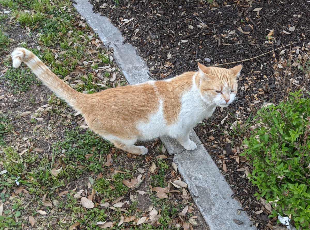 Harry, March 21, 2021