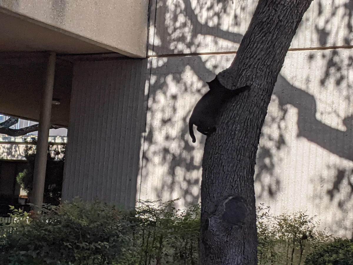 Lucifer, January 16, 2021