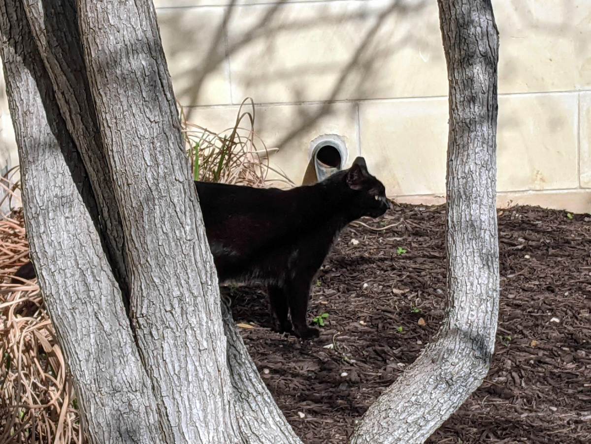 Lucifer, March 20, 2021