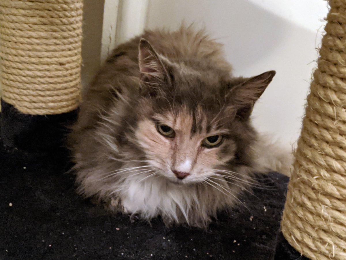 Polly, January 28, 2021