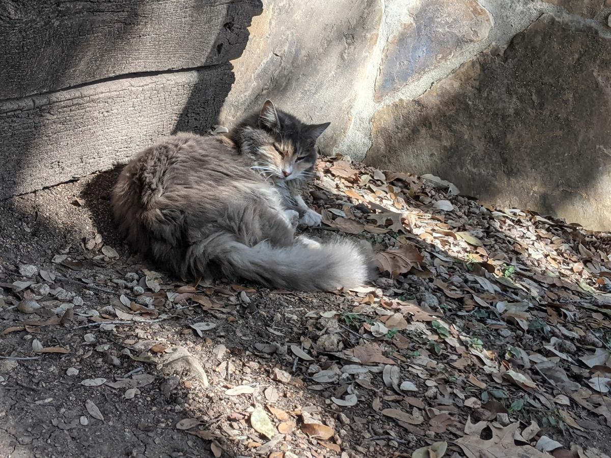 Polly, January 16, 2021