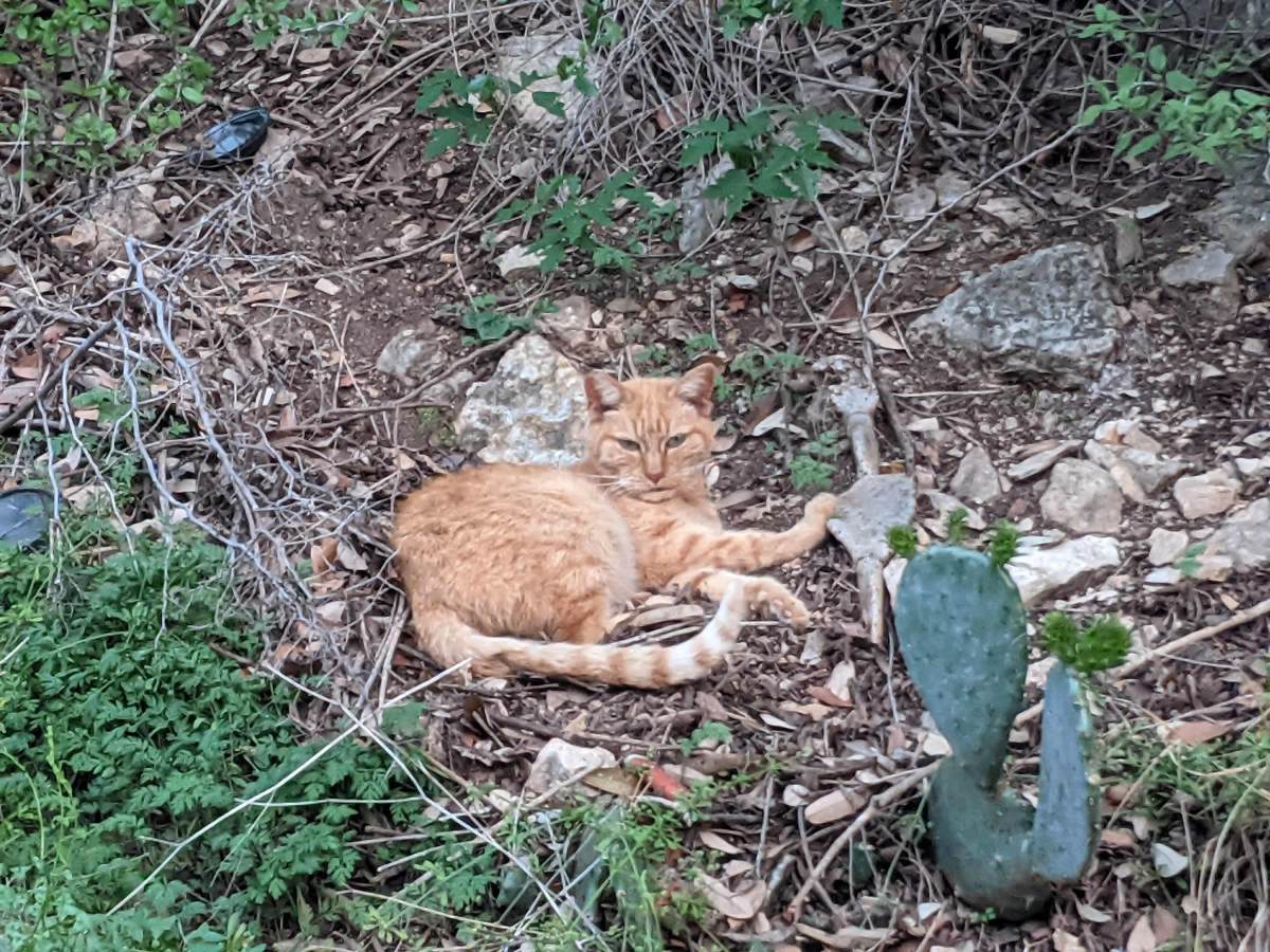 Sonny, March 27, 2021