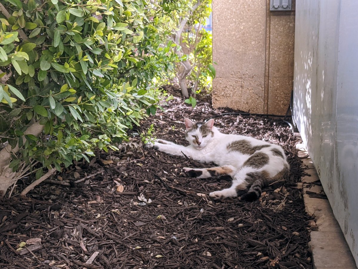 Arthur, April 9, 2021