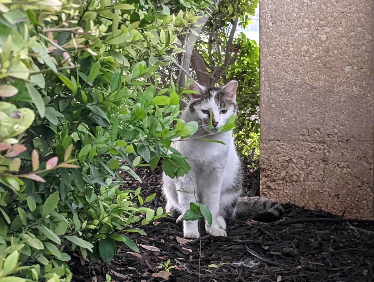 Arthur, April 14, 2021