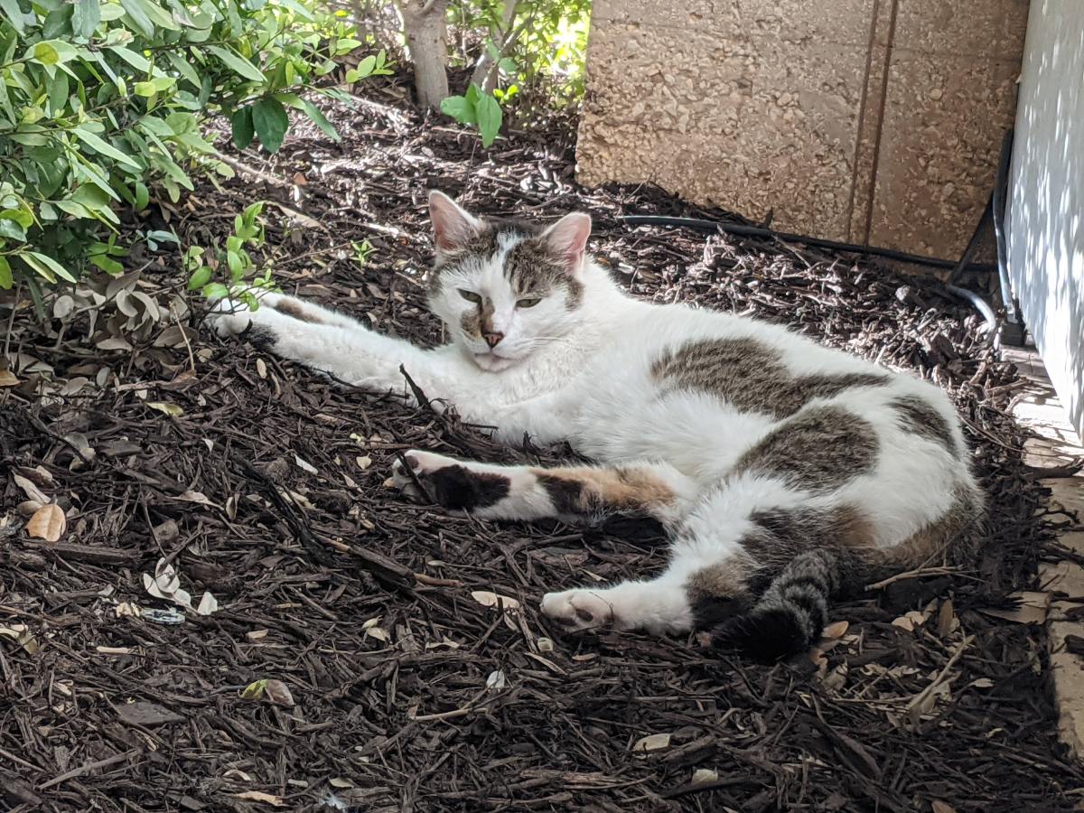 Arthur, April 9, 2021