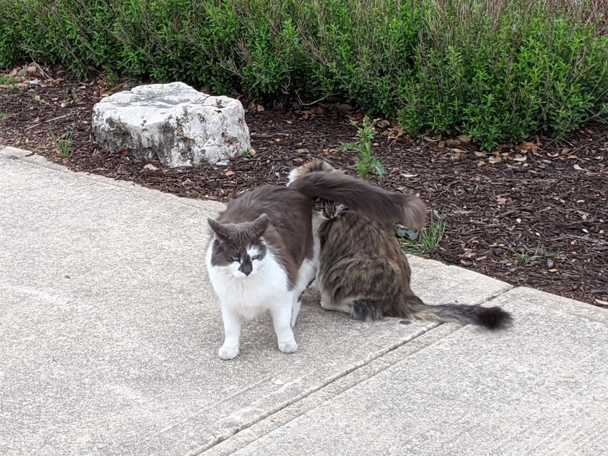 Charlie & Rocky, April 3, 2021