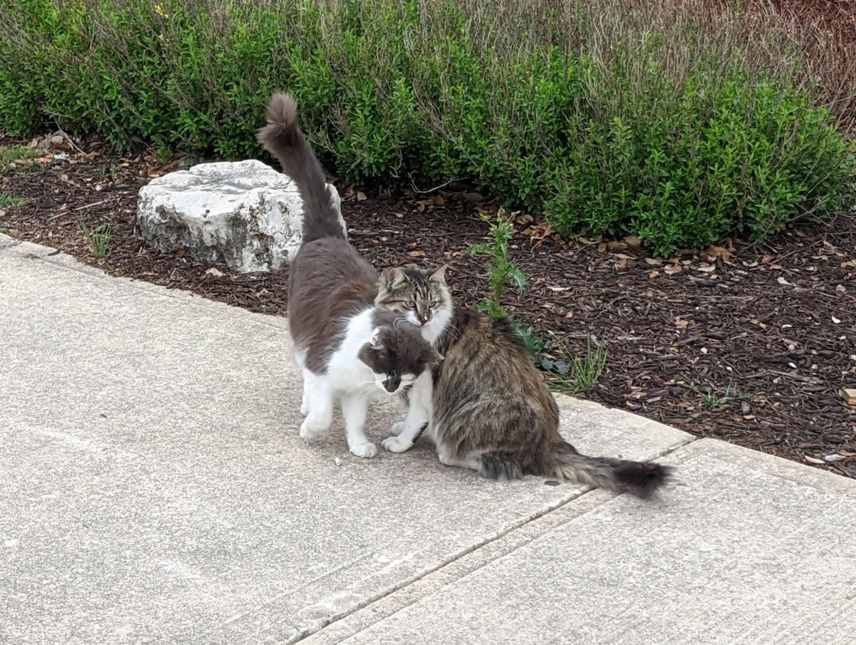 Charlie & Rocky, April 3, 2021