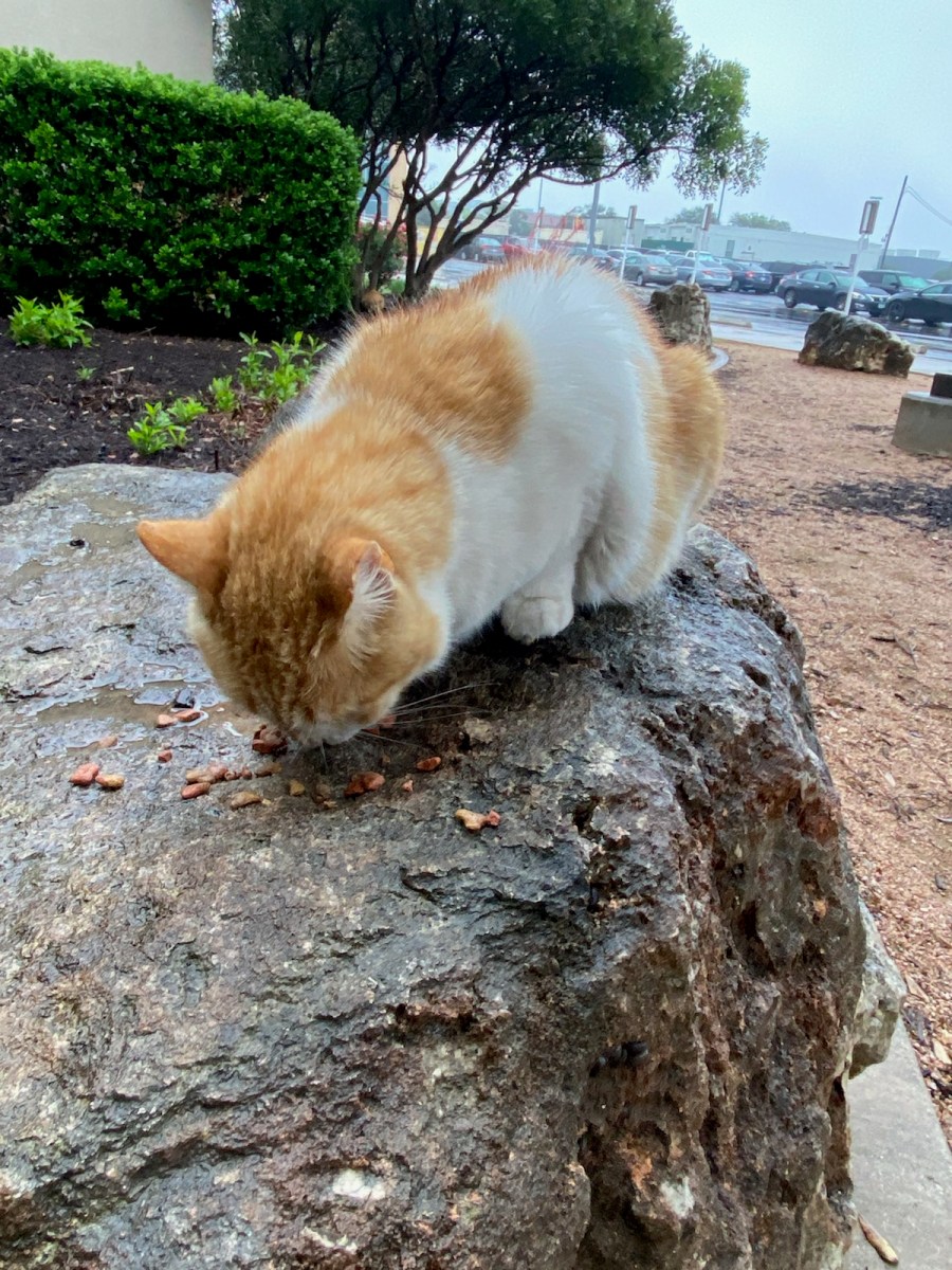 Harry, April 23, 2021