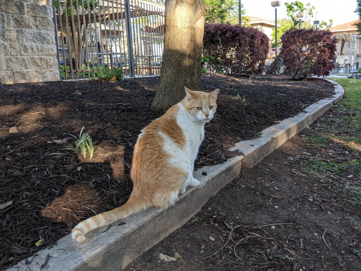 Harry, April 25, 2021