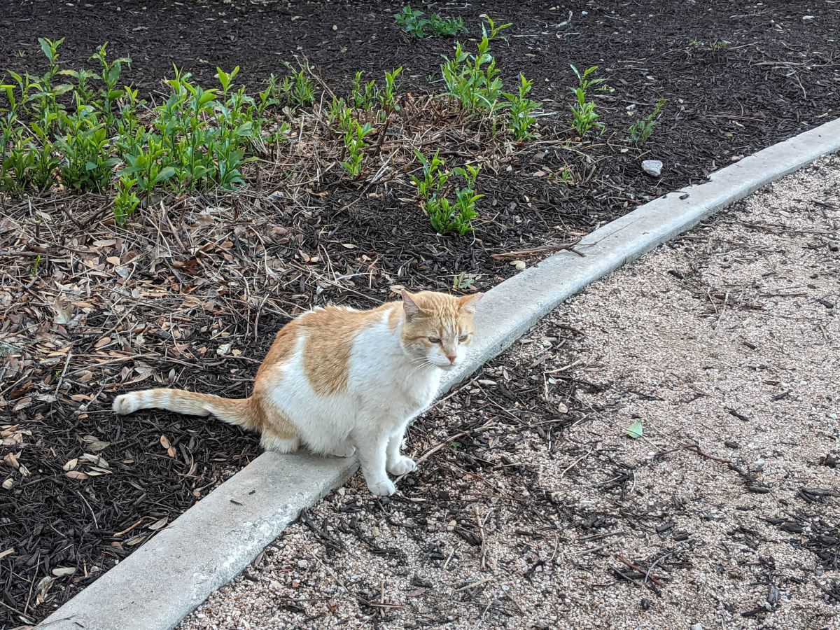 Harry, April 24, 2021