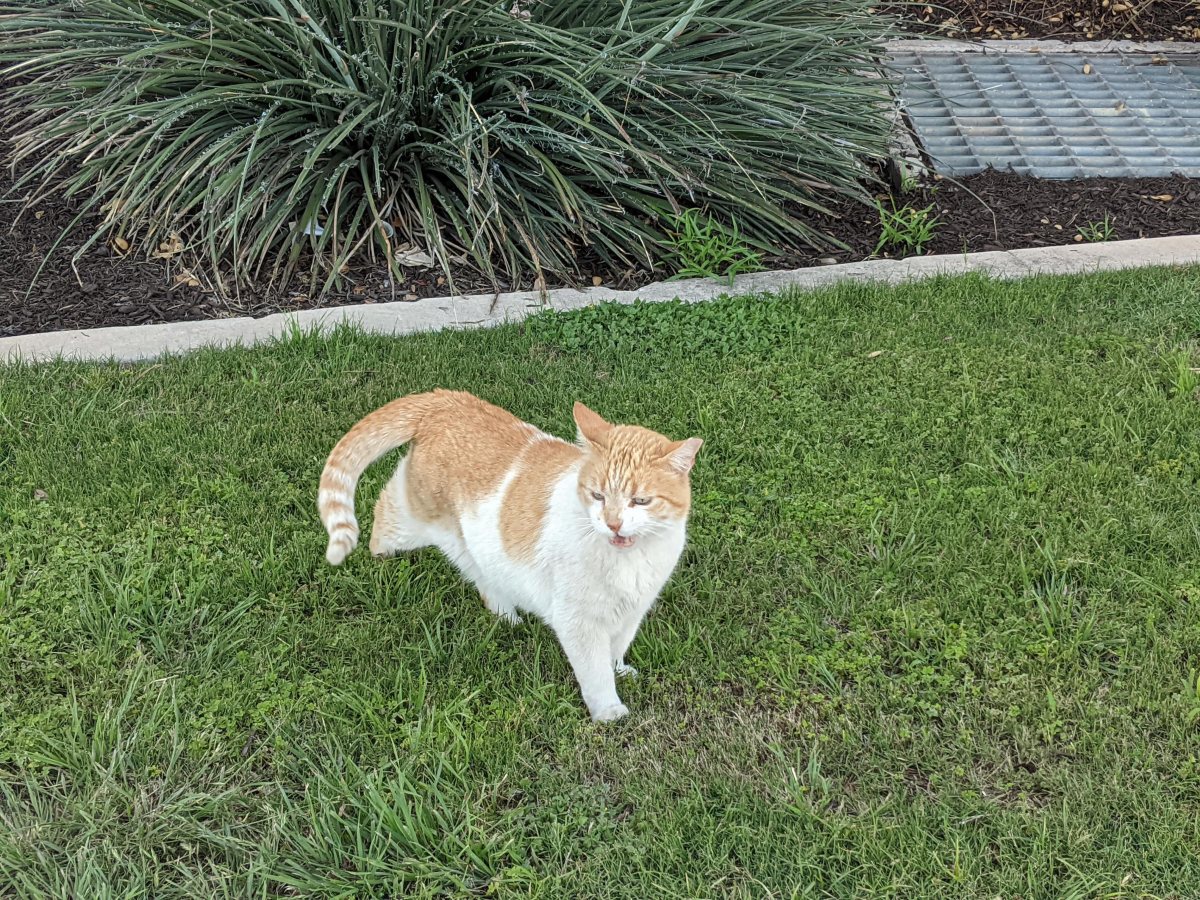 Harry, April 24, 2021