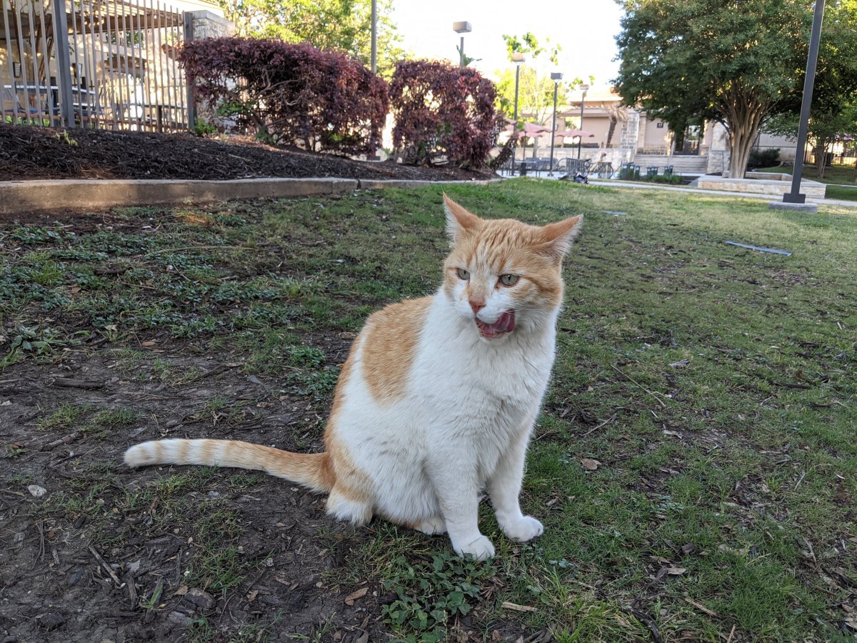 Harry, April 25, 2021