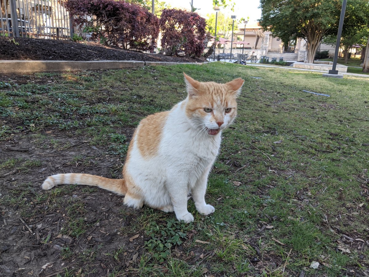 Harry, April 25, 2021