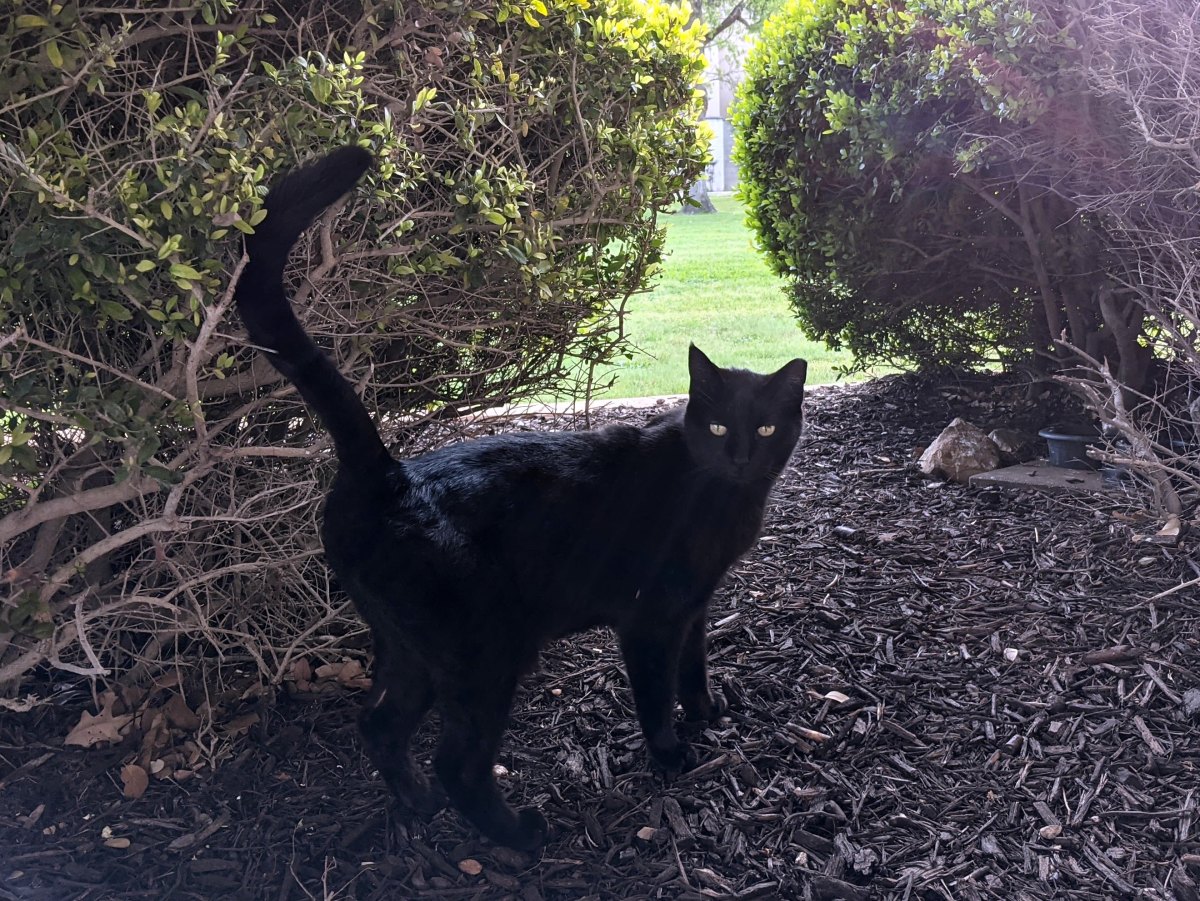 Lucifer, April 5, 2021