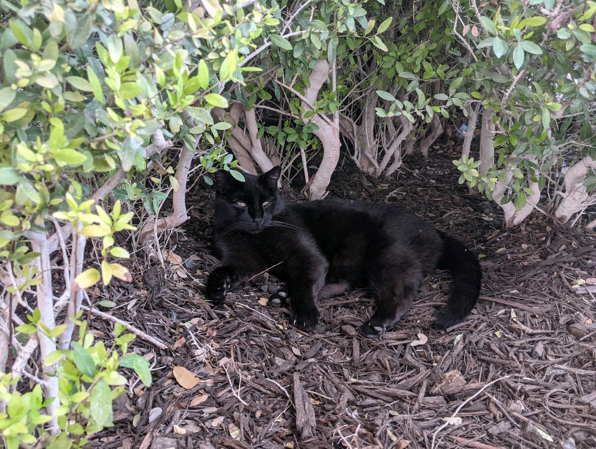 Lucifer, April 9, 2021