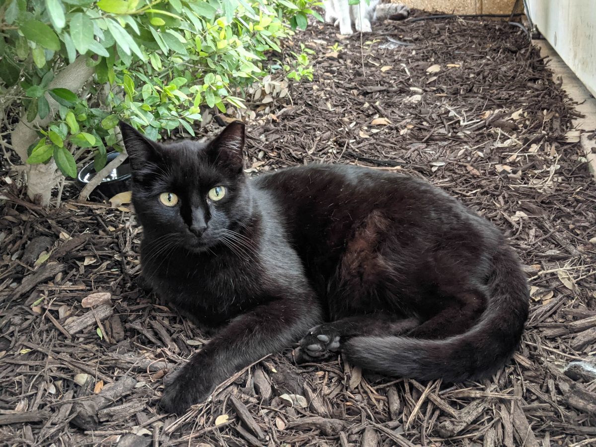 Lucifer, April 14, 2021