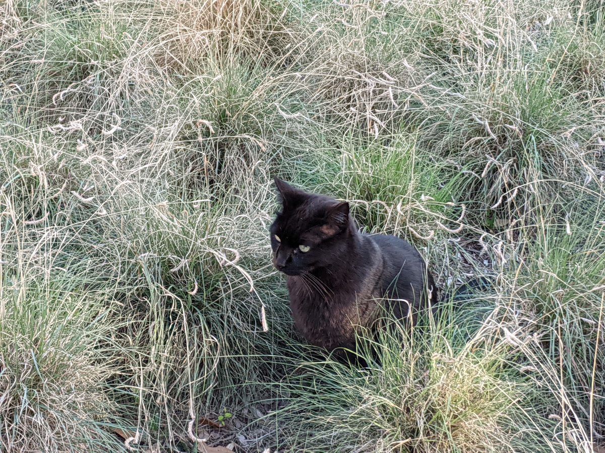 Lucifer, April 3, 2021