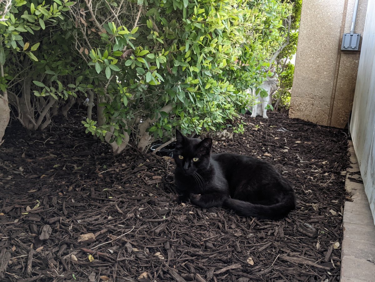 Lucifer, April 14, 2021