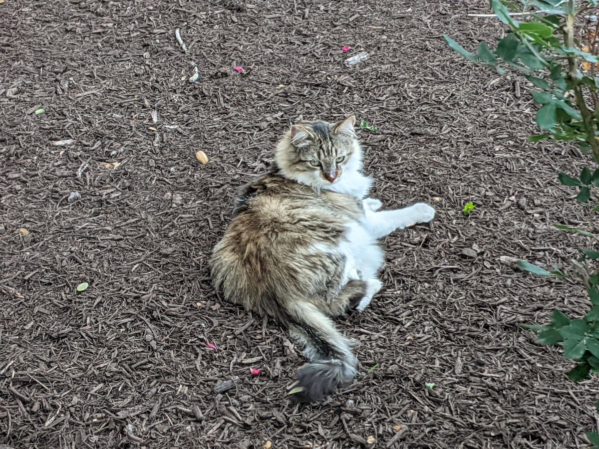 Rocky, April 18, 2021