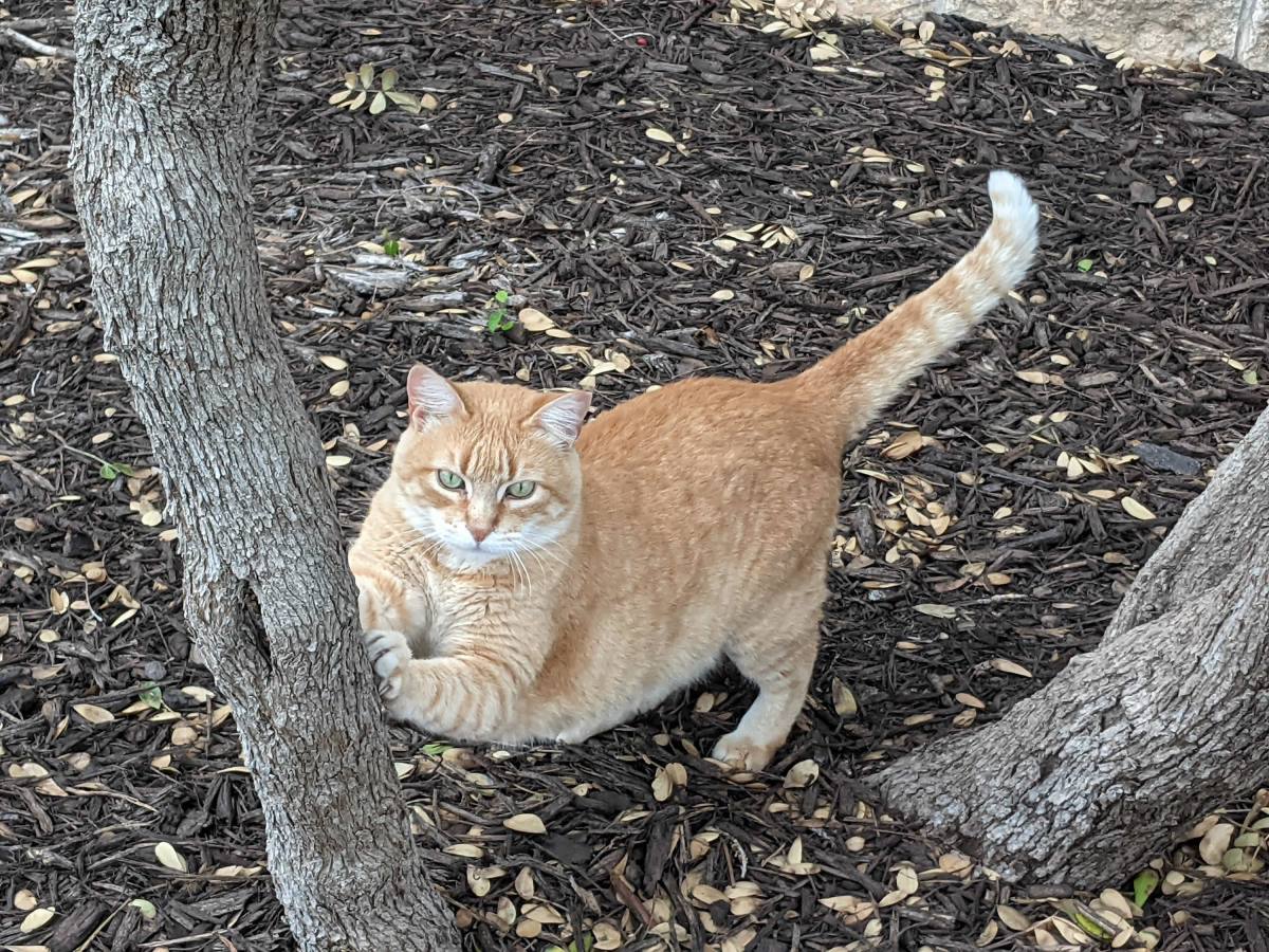 Rusty, April 4, 2021