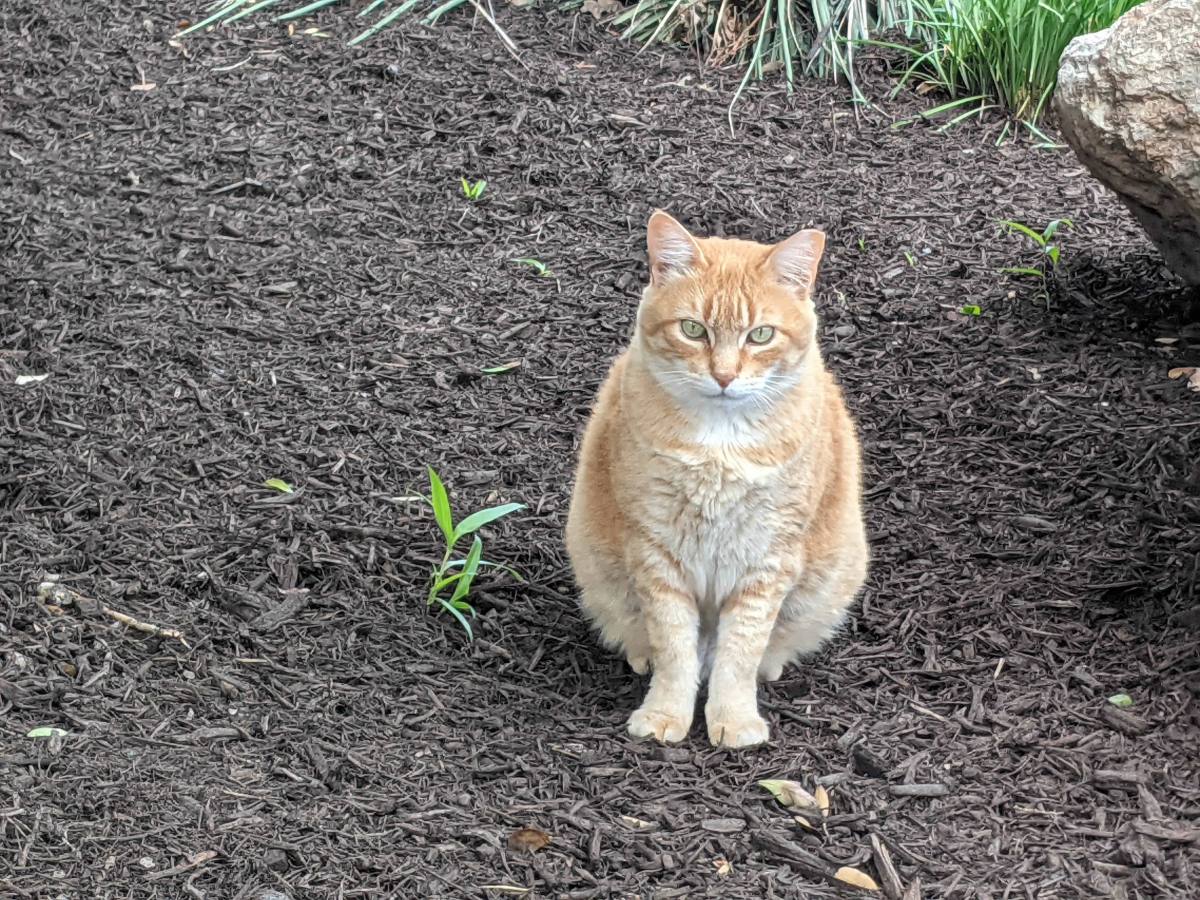 Rusty, April 18, 2021