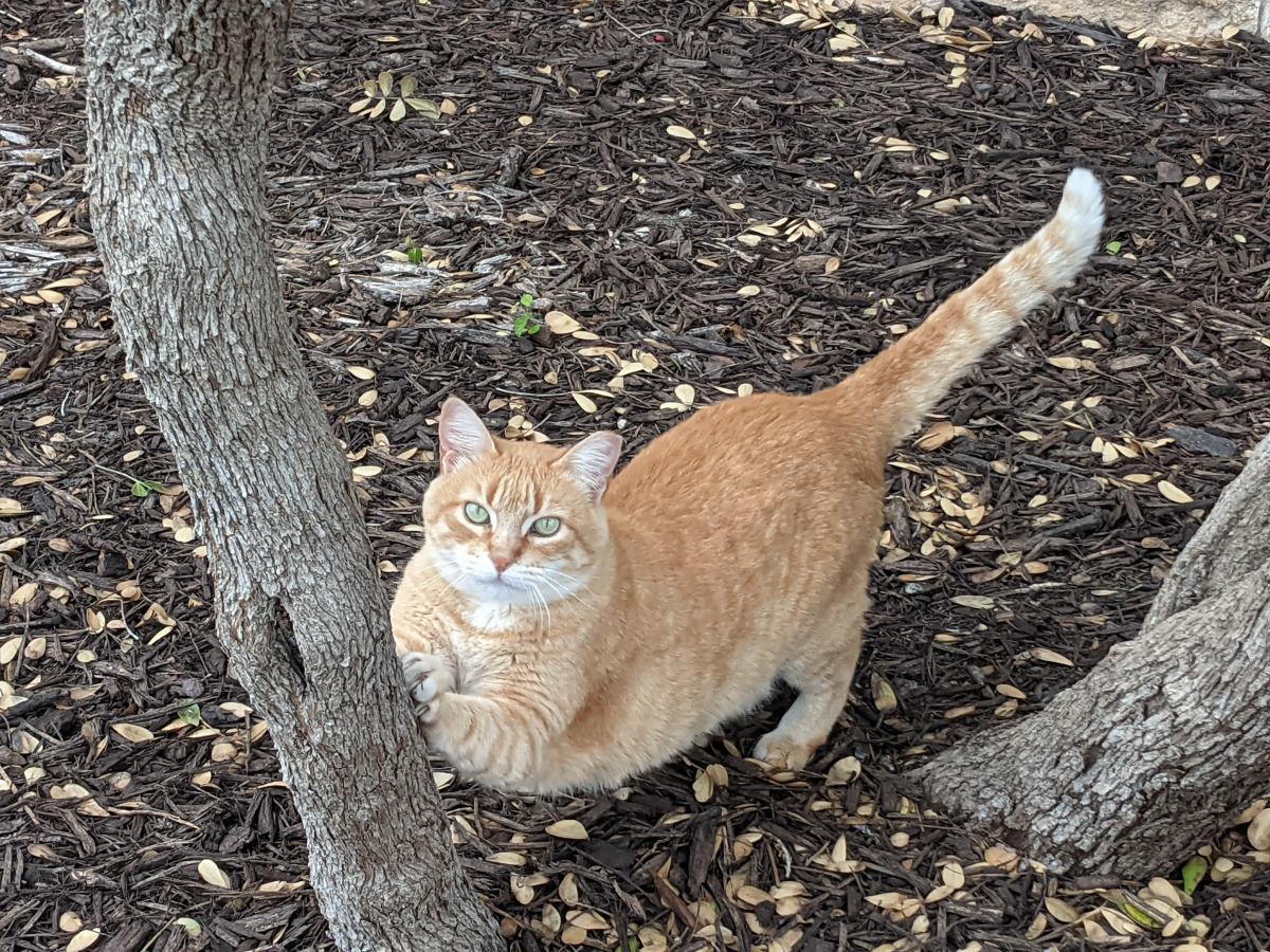 Rusty, April 4, 2021