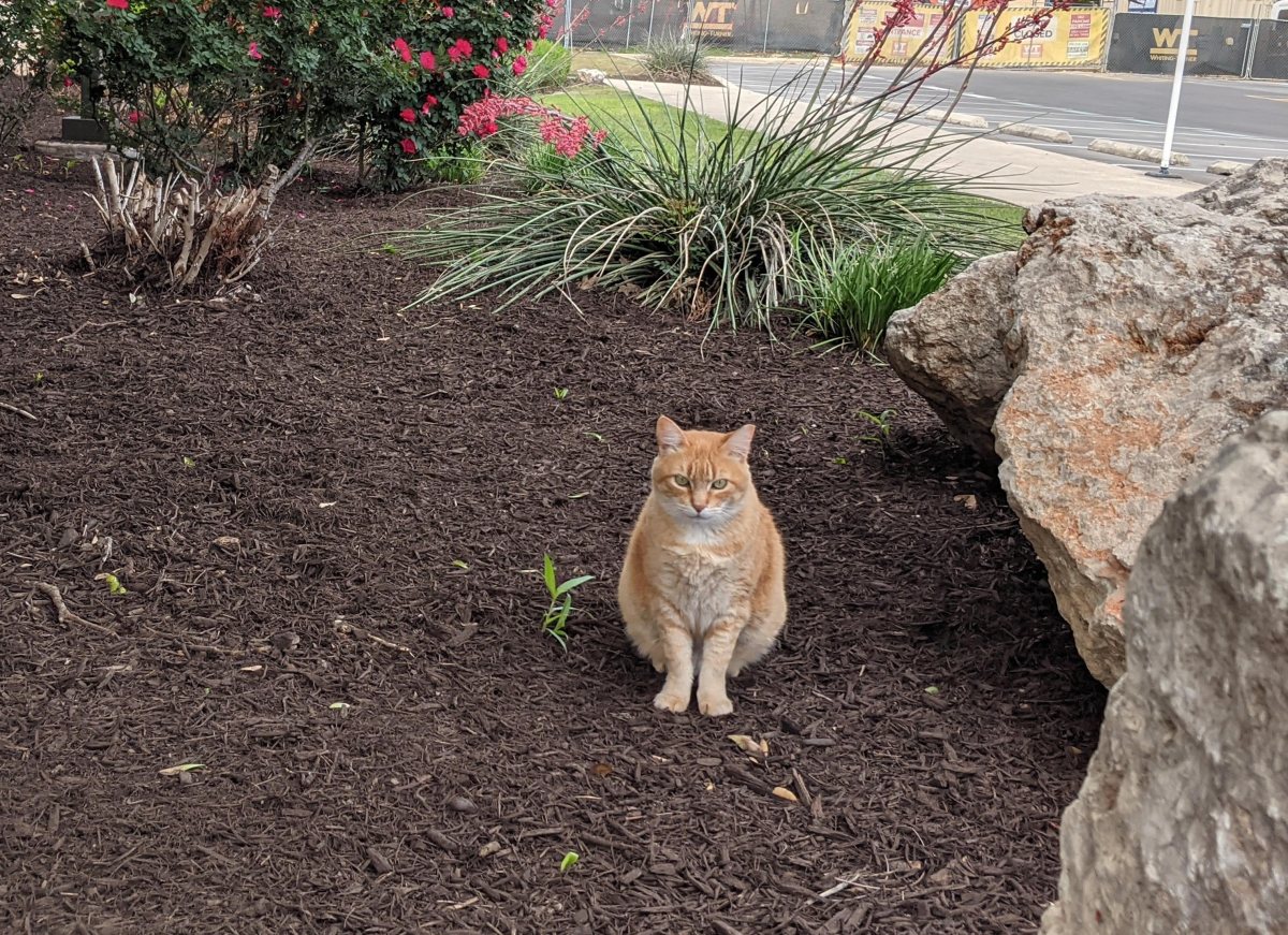 Rusty, April 18, 2021