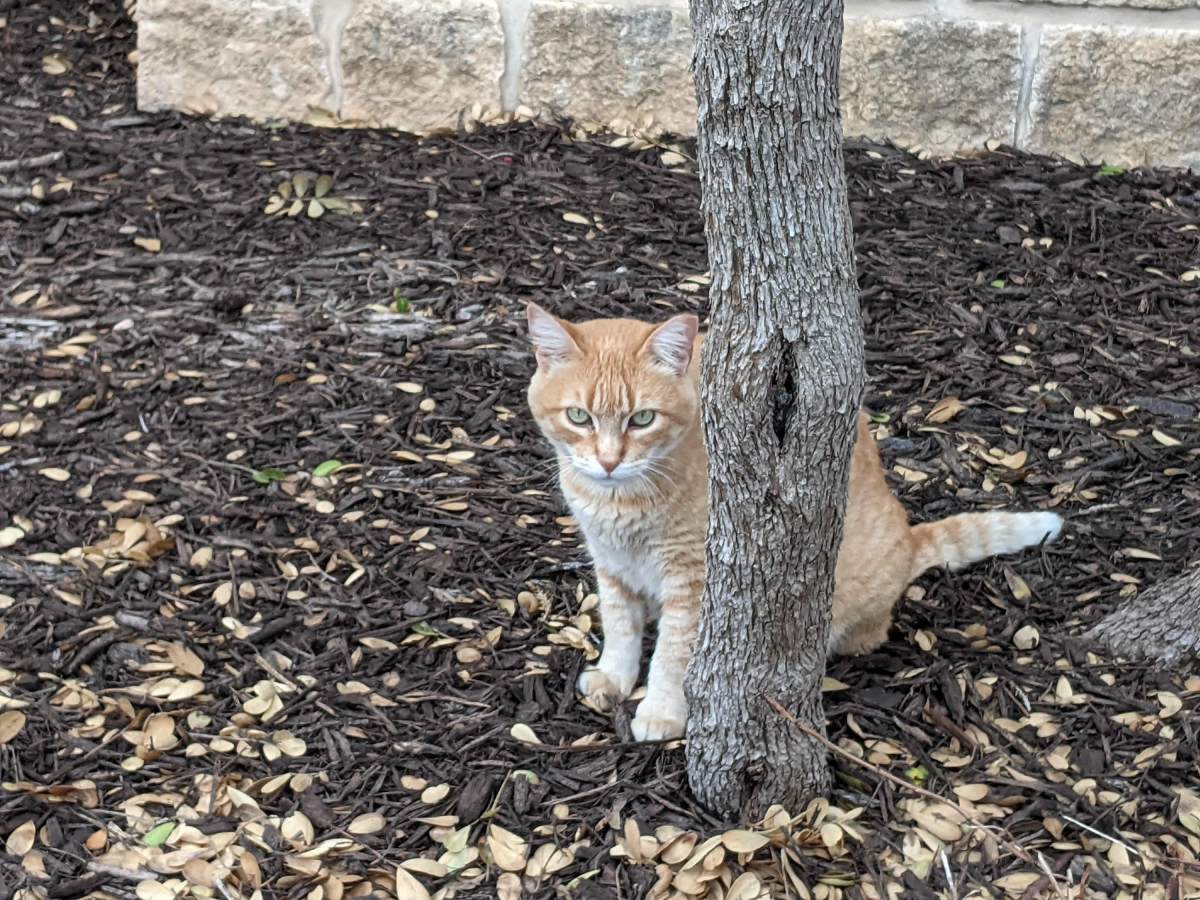 Rusty, April 4, 2021