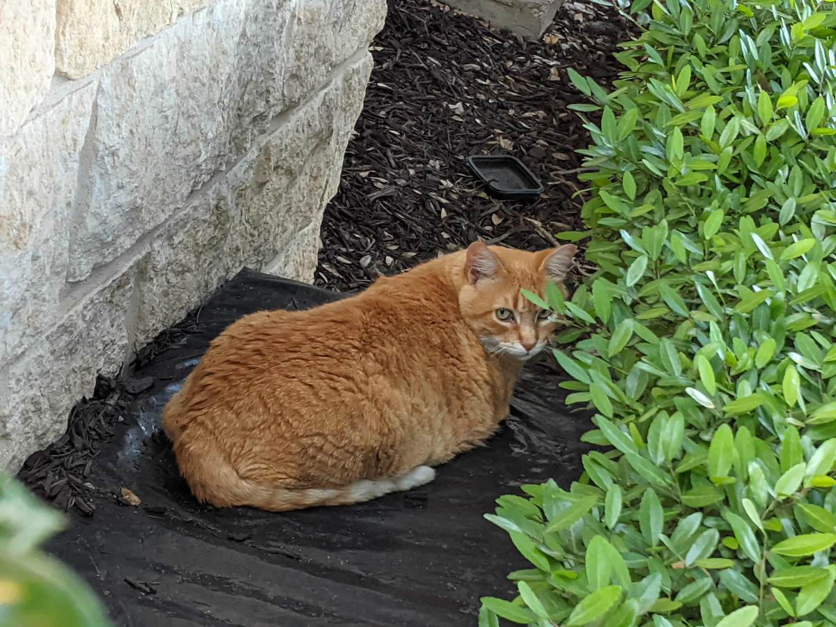 Rusty, April 24, 2021