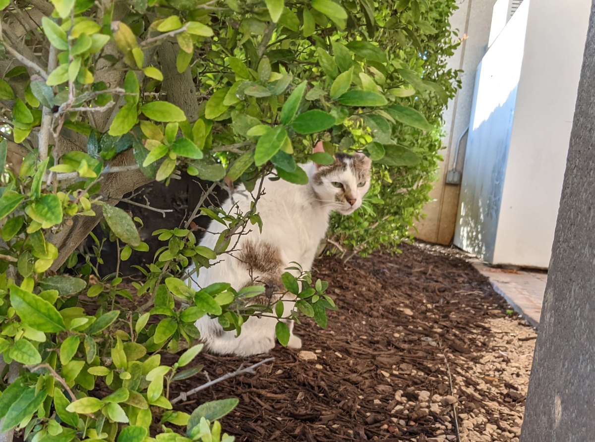 Arthur, May 21, 2021