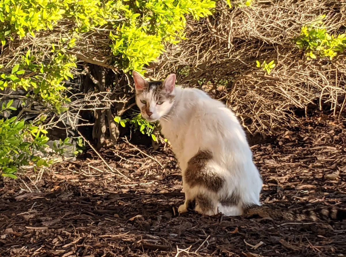 Arthur, May 21, 2021