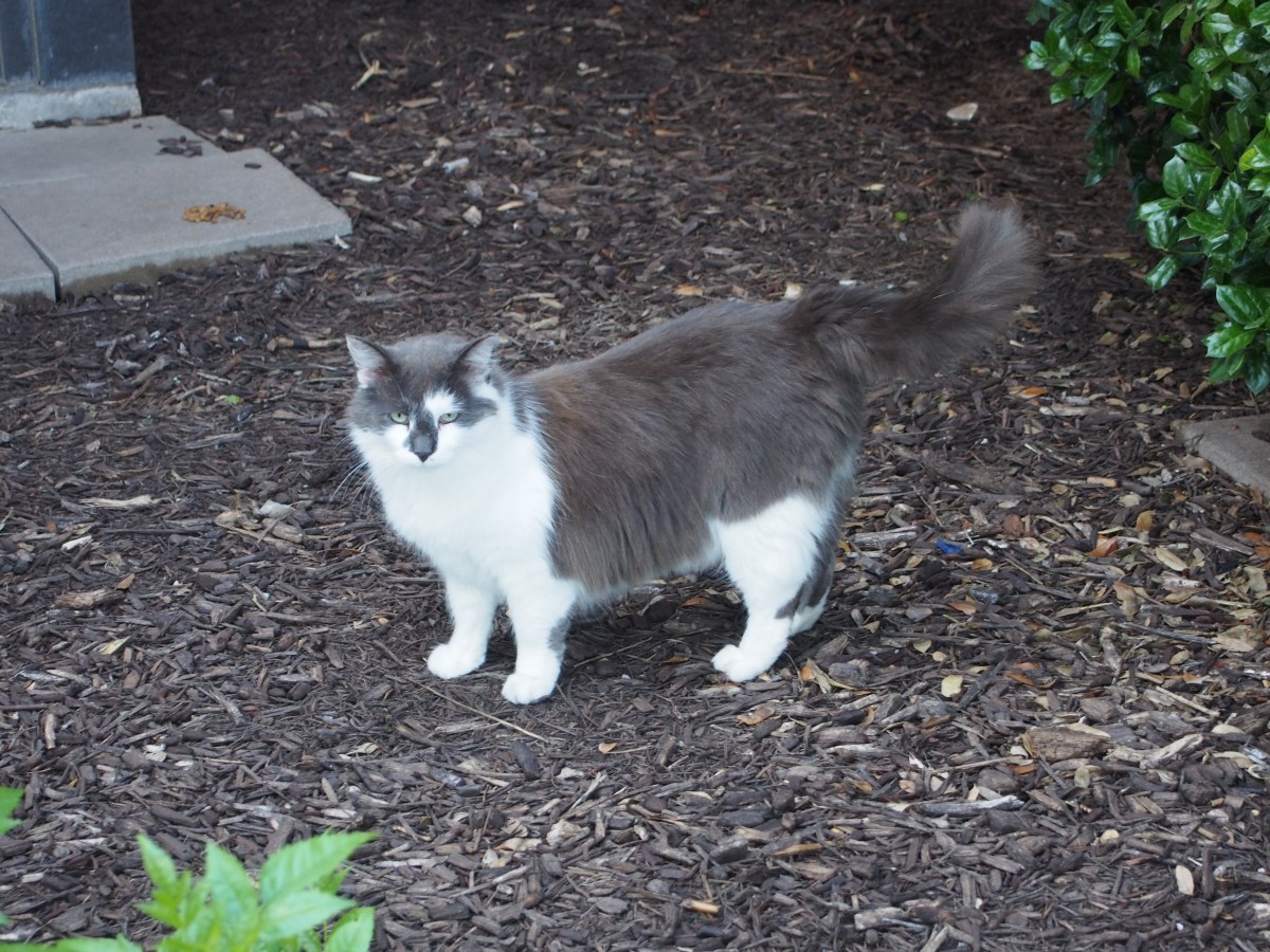 Charlie, May 16, 2021