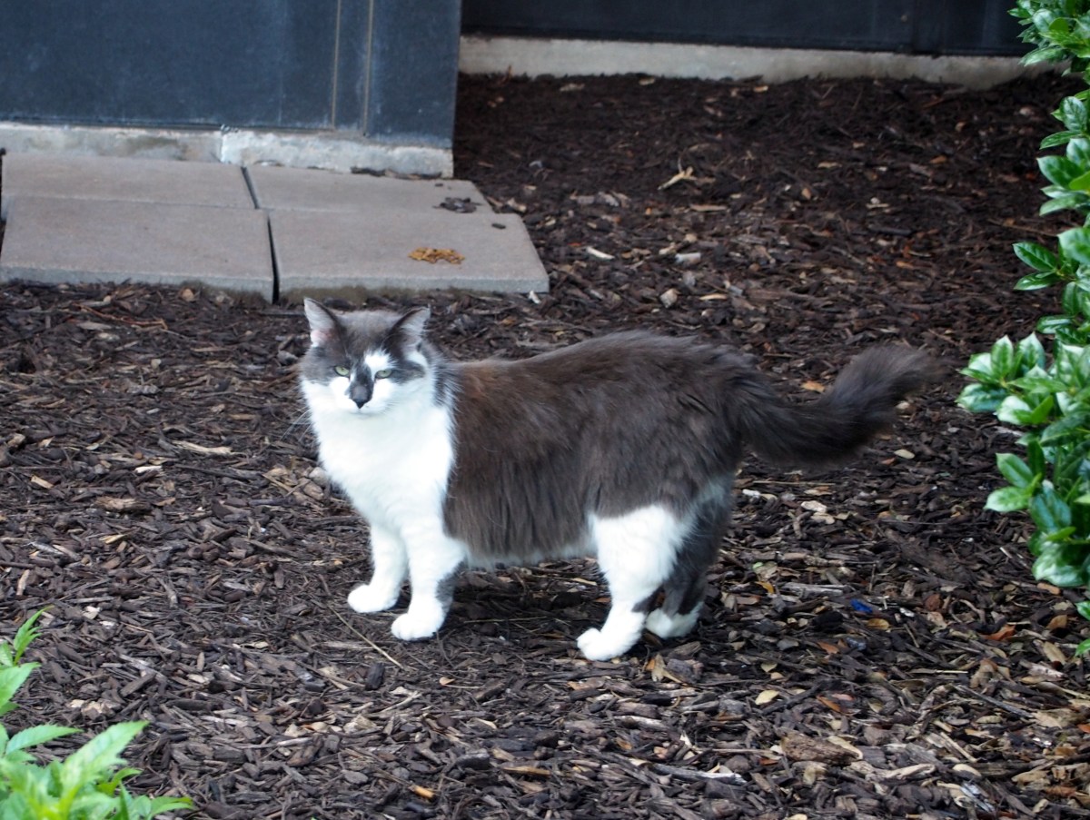 Charlie, May 16, 2021