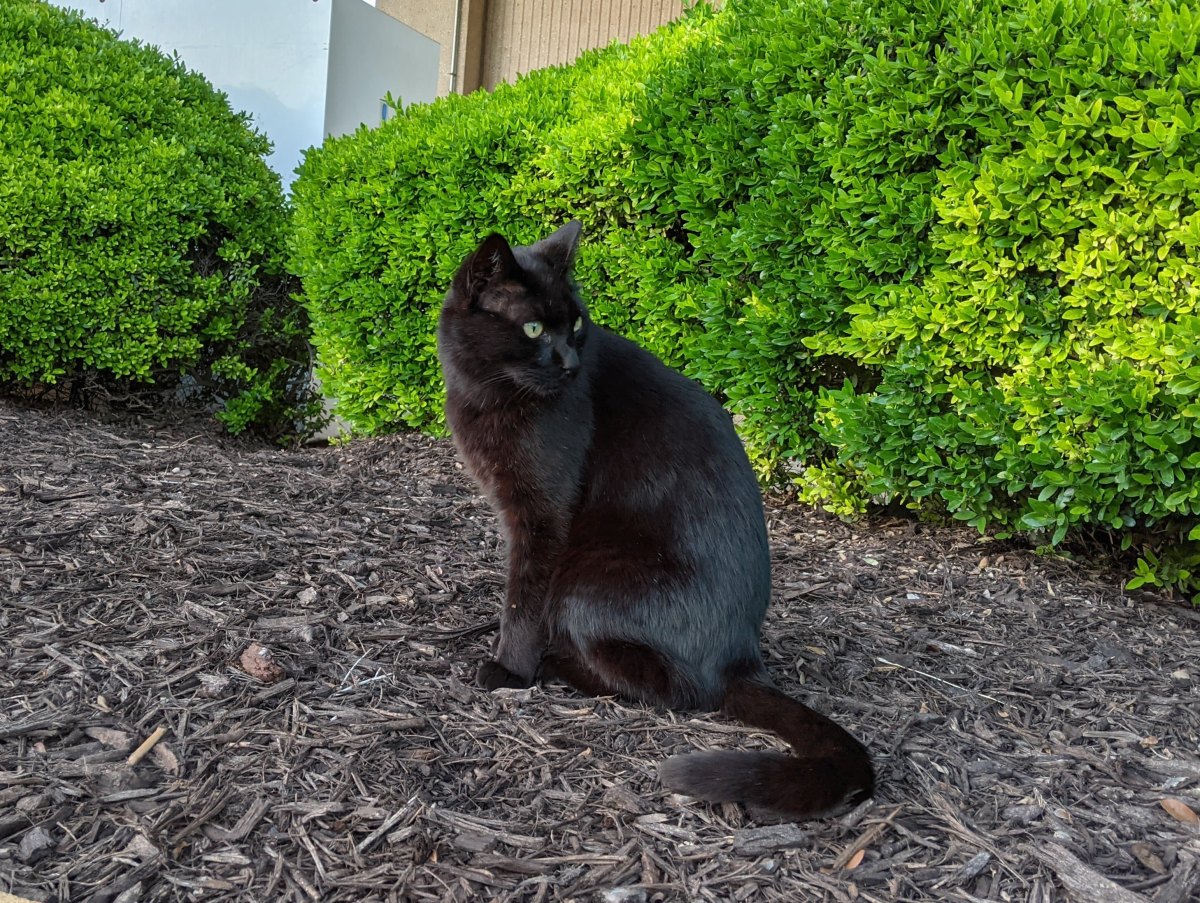 Lucifer, May 5, 2021