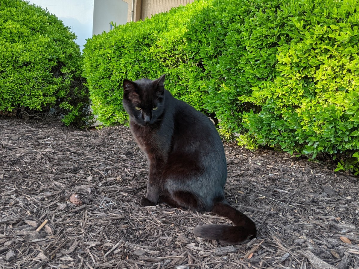 Lucifer, May 5, 2021