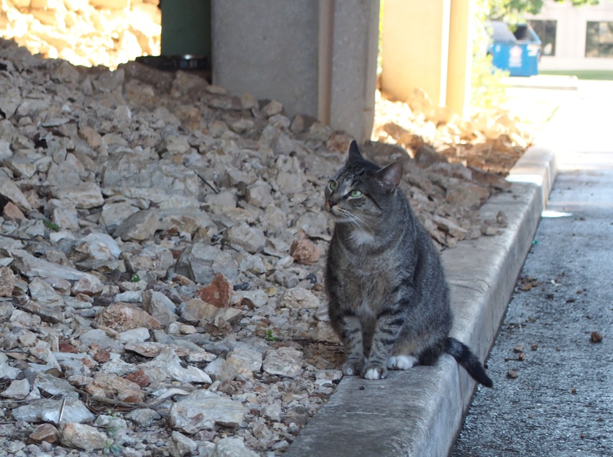 Tigger, May 15, 2021