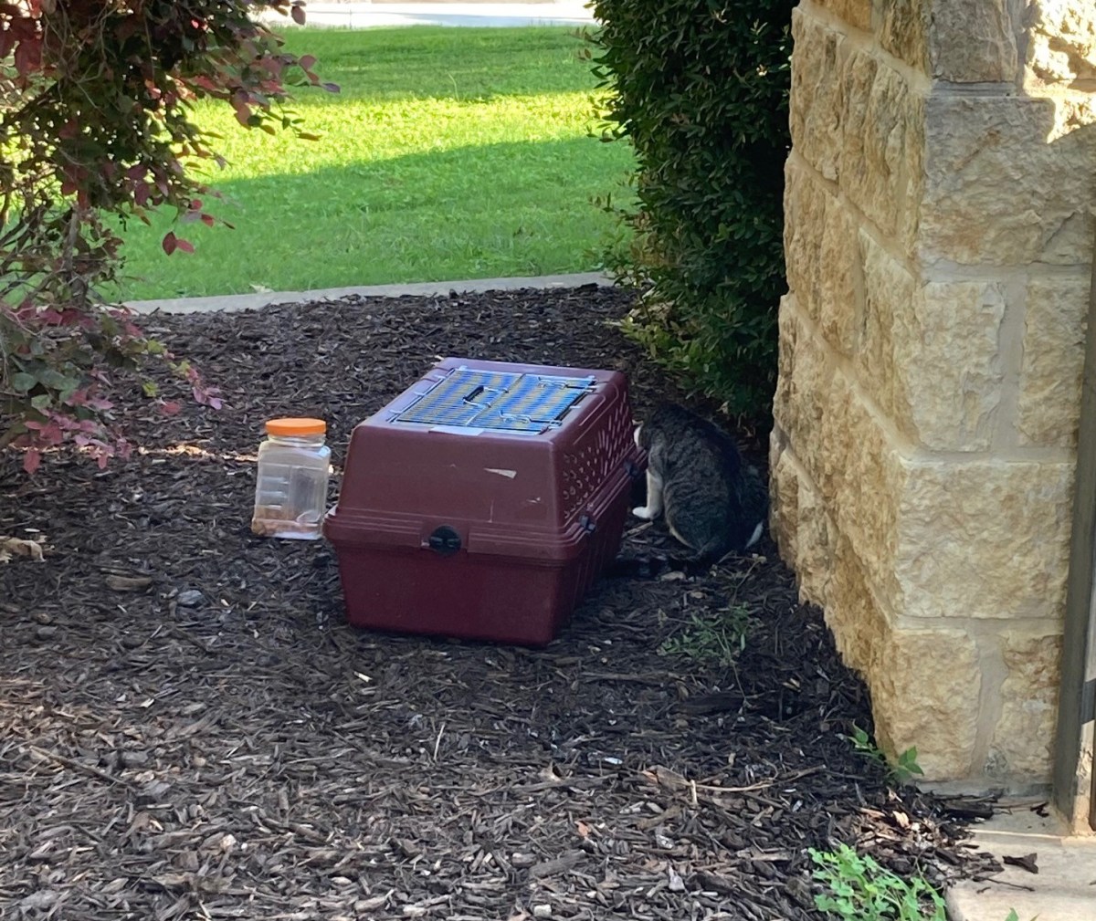 Hobbs returning to campus, June 12, 2021