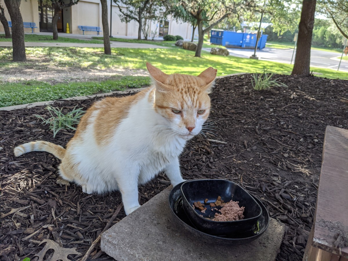 Harry, July 24, 2021