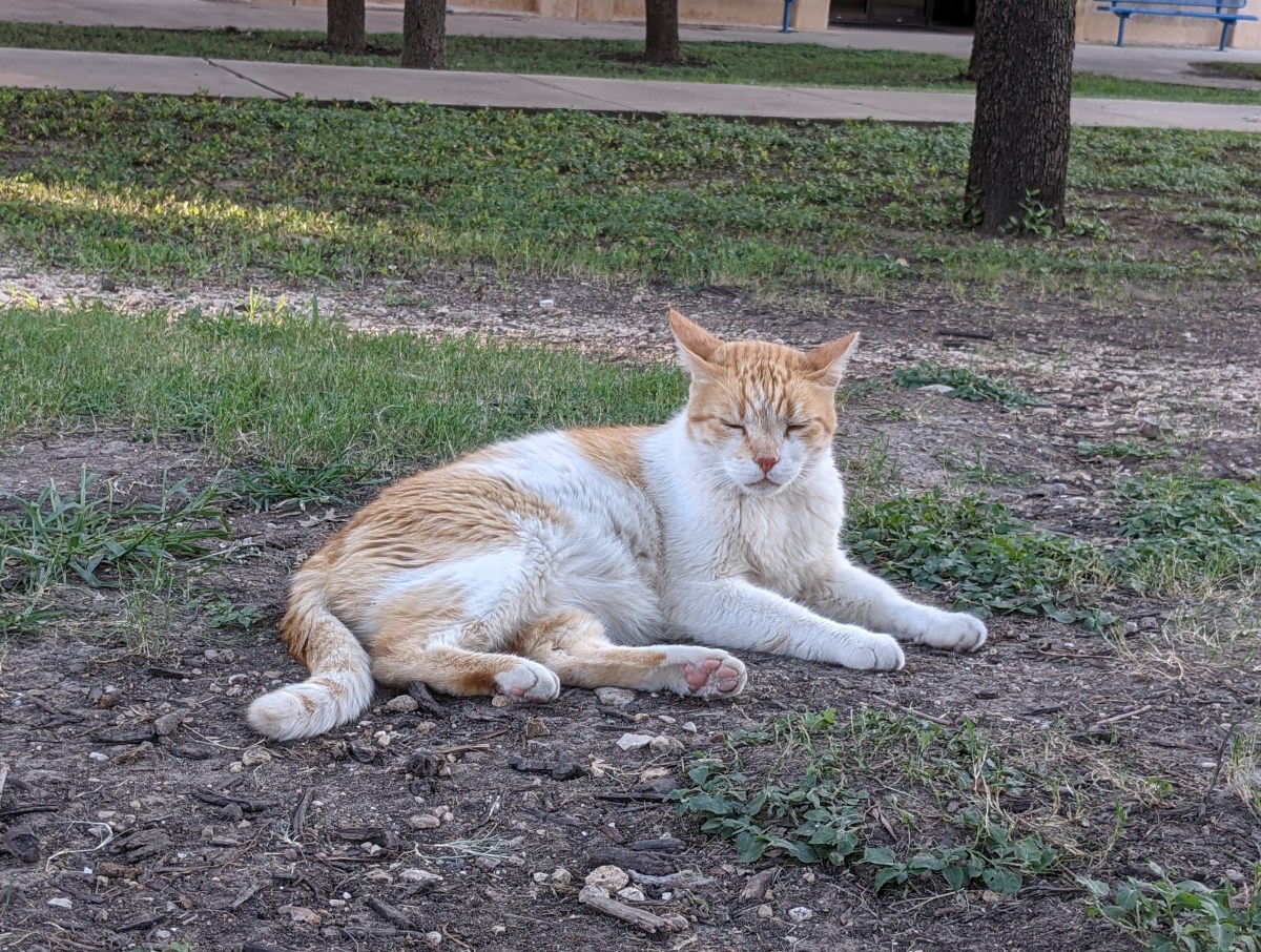 Harry, August 15, 2021